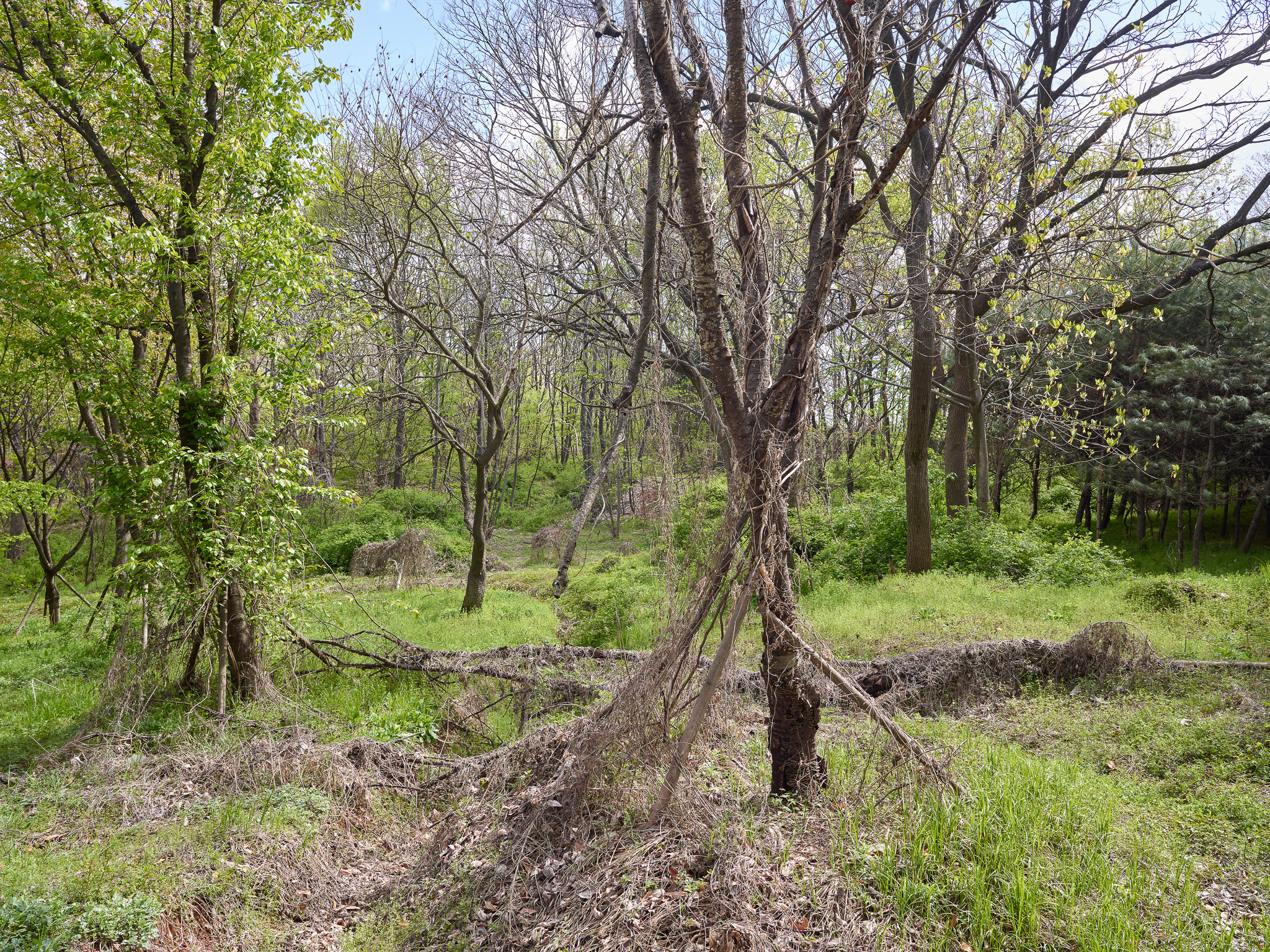 Edgeland, 37.1422832561777, Inkjet print, 120x160cm, 2021