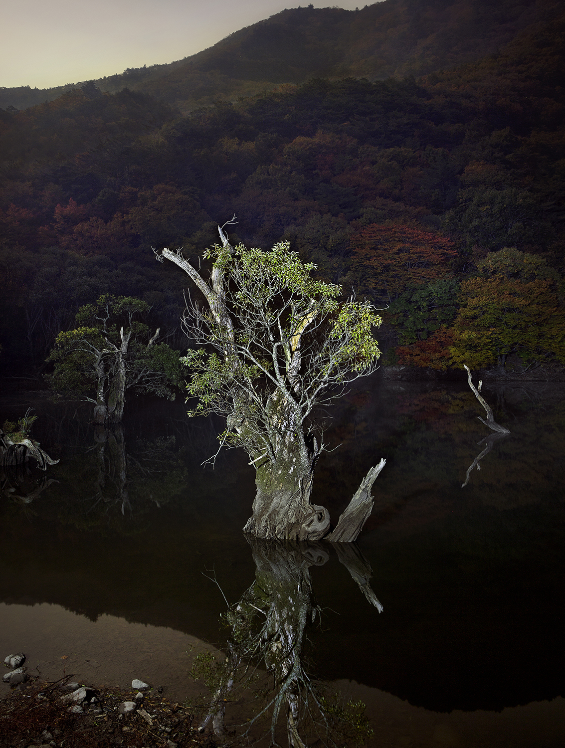 The Night Watch, Jusanji_80x106cm_Inkjet print_2013