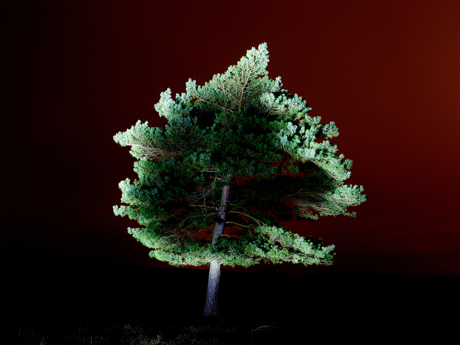 The Night Watch, Lyndhurst, 100x150cm, Archival Pigment print, 2012