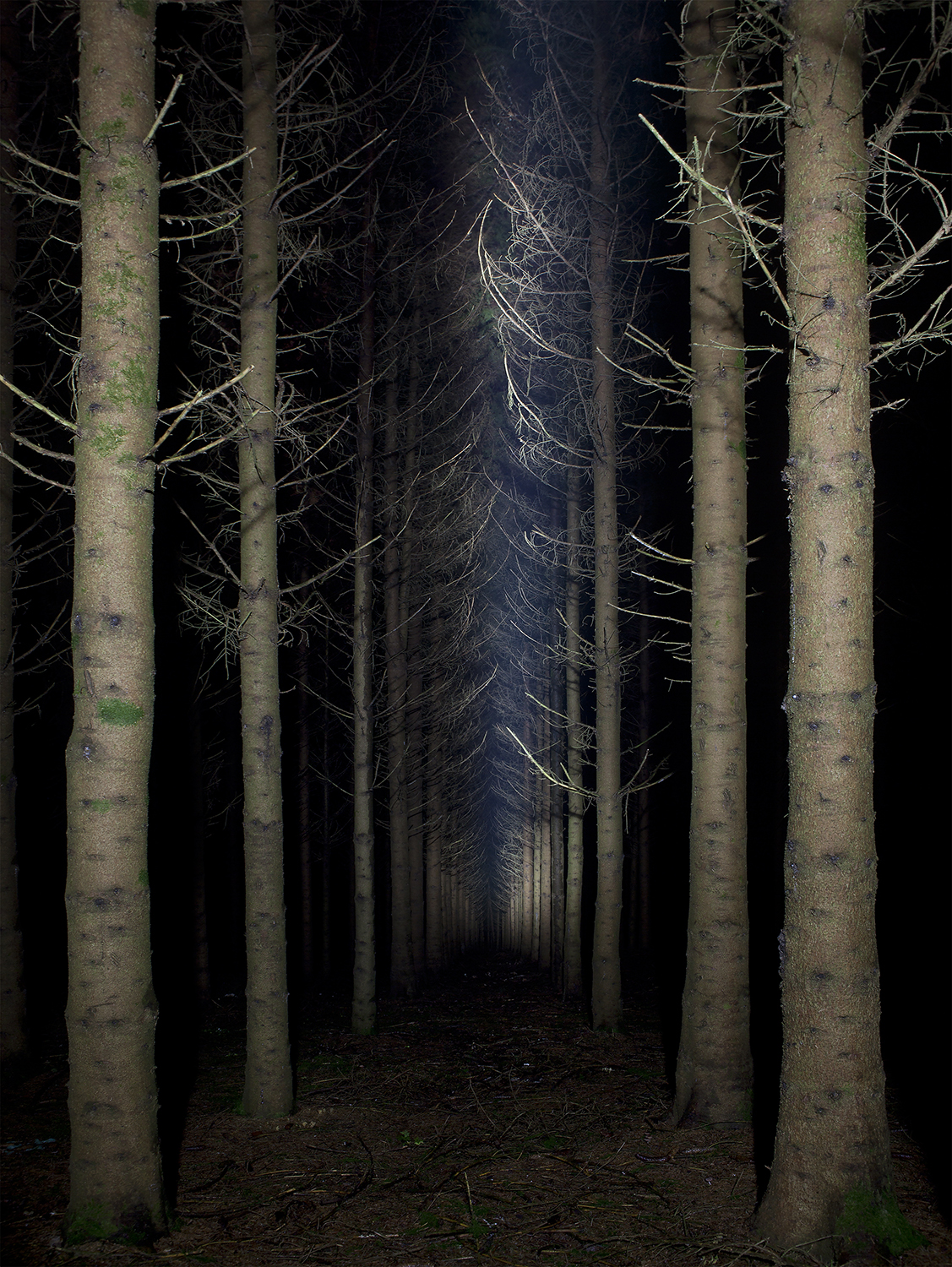 The Night Watch, Mettlach, 80x106cm, Inkjet print, 2013