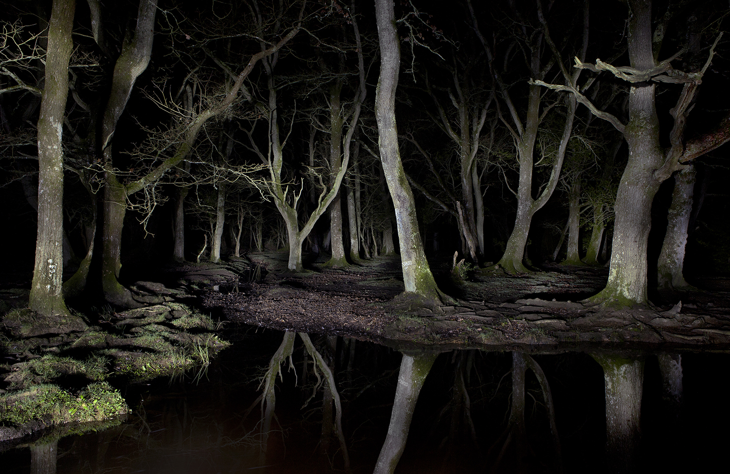 The Night Watch, New Forest, 100x155cm, Archival Pigment Print, 2012