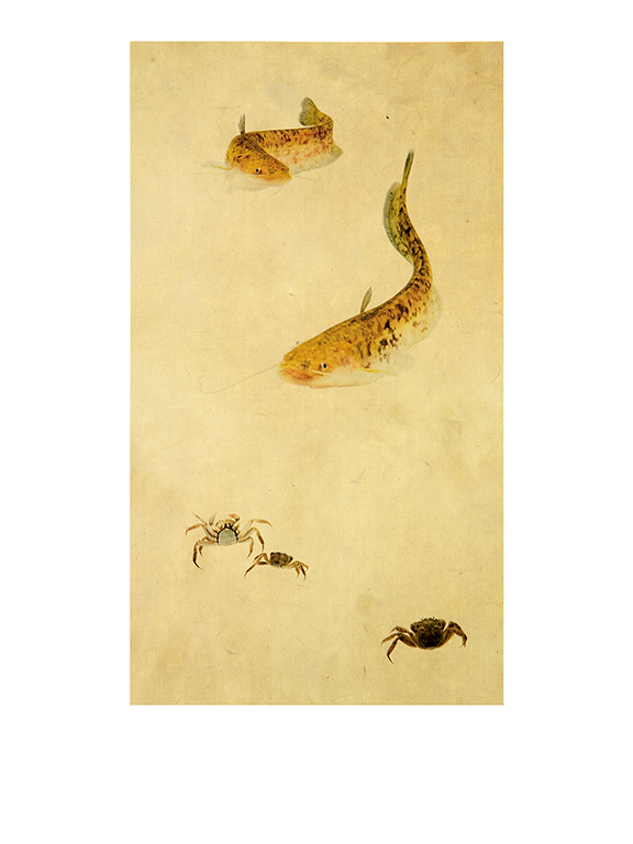 어해도_두 메기_옺지에 잉크젯 프린트_가변사이즈_2007