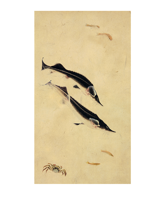어해도_두 철갑상어_옺지에 잉크젯 프린트_가변사이즈_2007