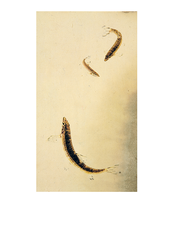 어해도_쉬리_옺지에 잉크젯 프린트_가변사이즈_2007