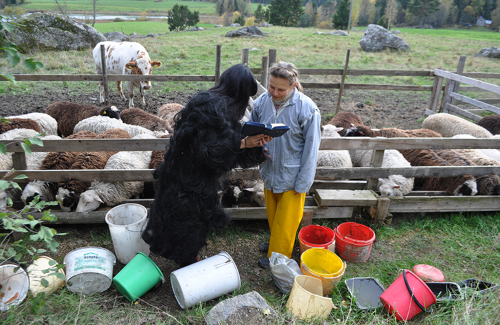 001 Otherness, 디지털 프린트, 76.2x101.6cm, 2011