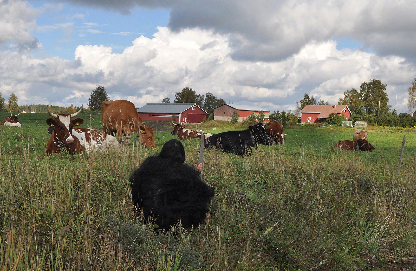 003 Otherness, 디지털 프린트, 76.2x101.6cm, 2011