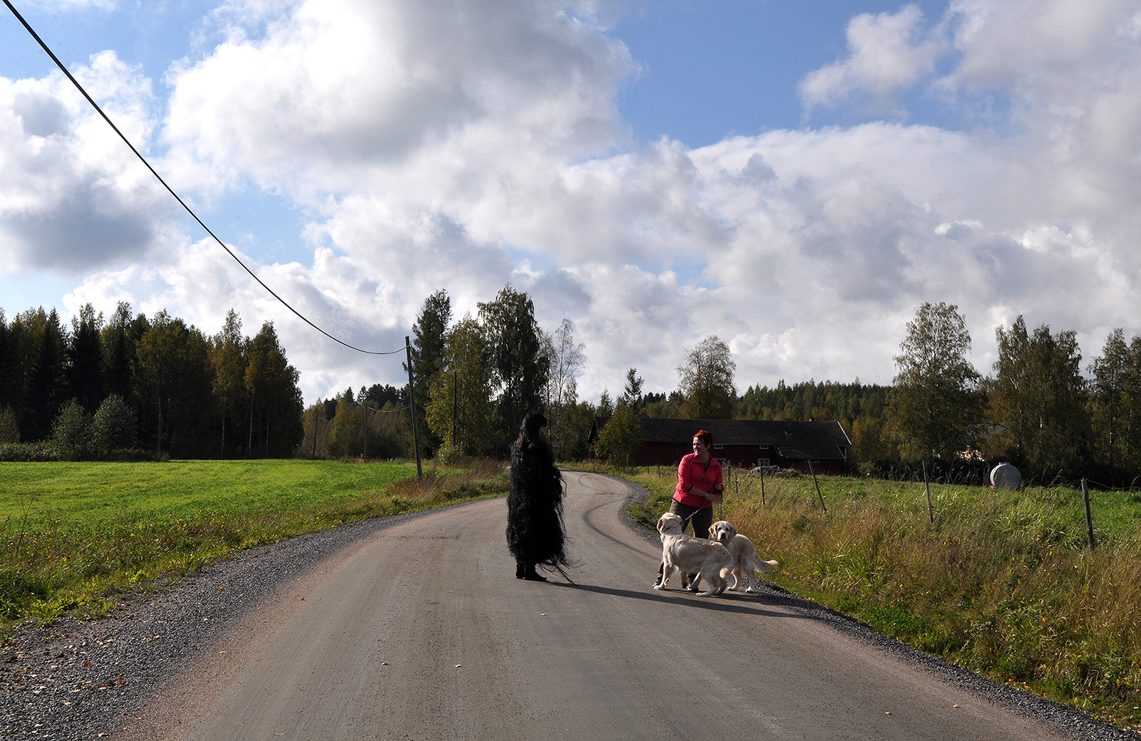 006 Otherness, 디지털 프린트, 76.2x101.6cm, 2011