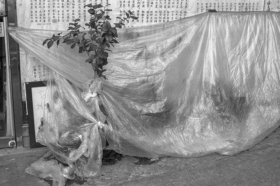 19 서울 동빙고동, Gelatin Silver Print, 2020, 20x30cm