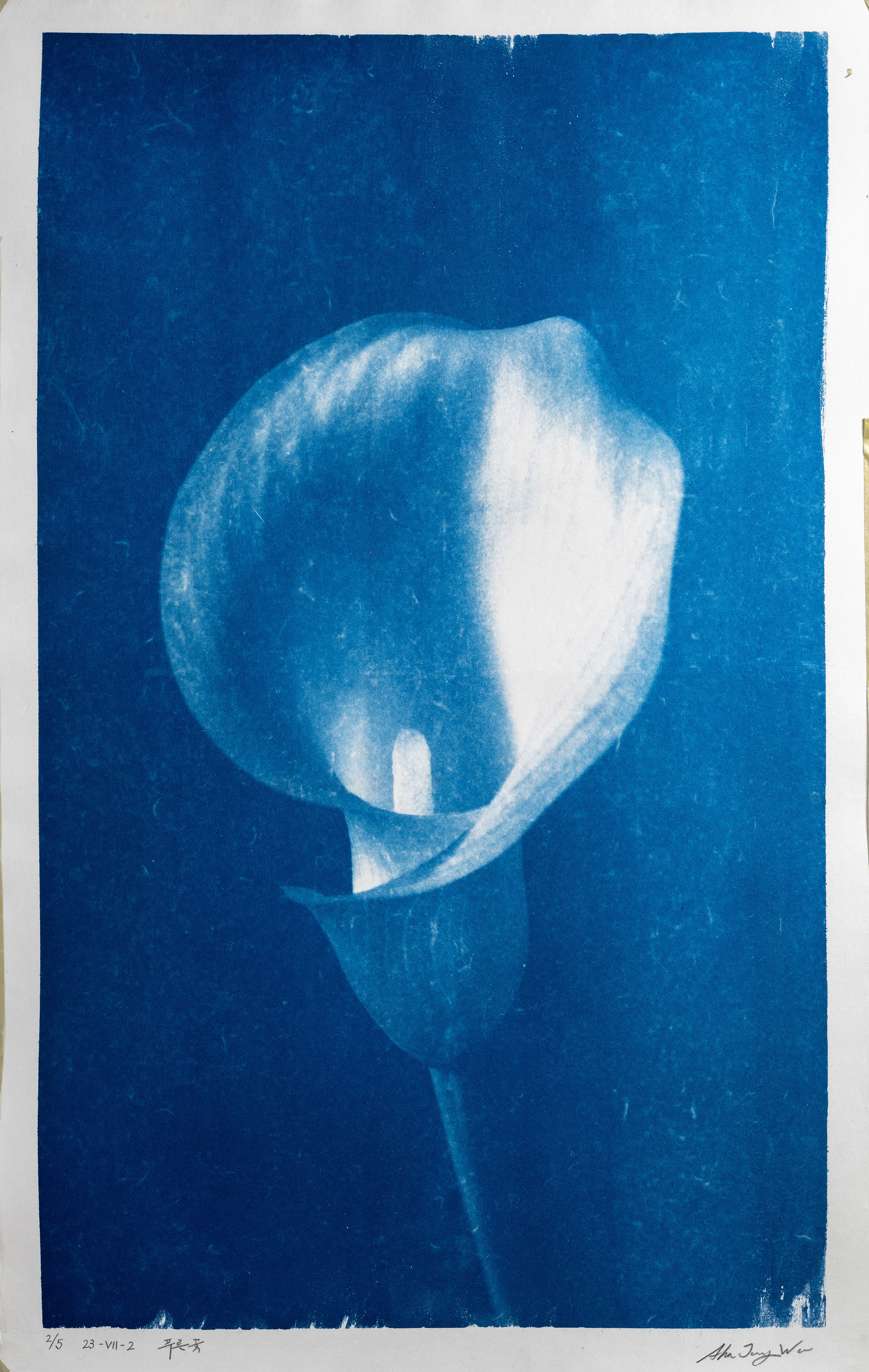 푸른꽃 Blue flower 23-VIII-2 2023, 장지에 시아노타입 Cyanotype on korean paper 75 x 45cm