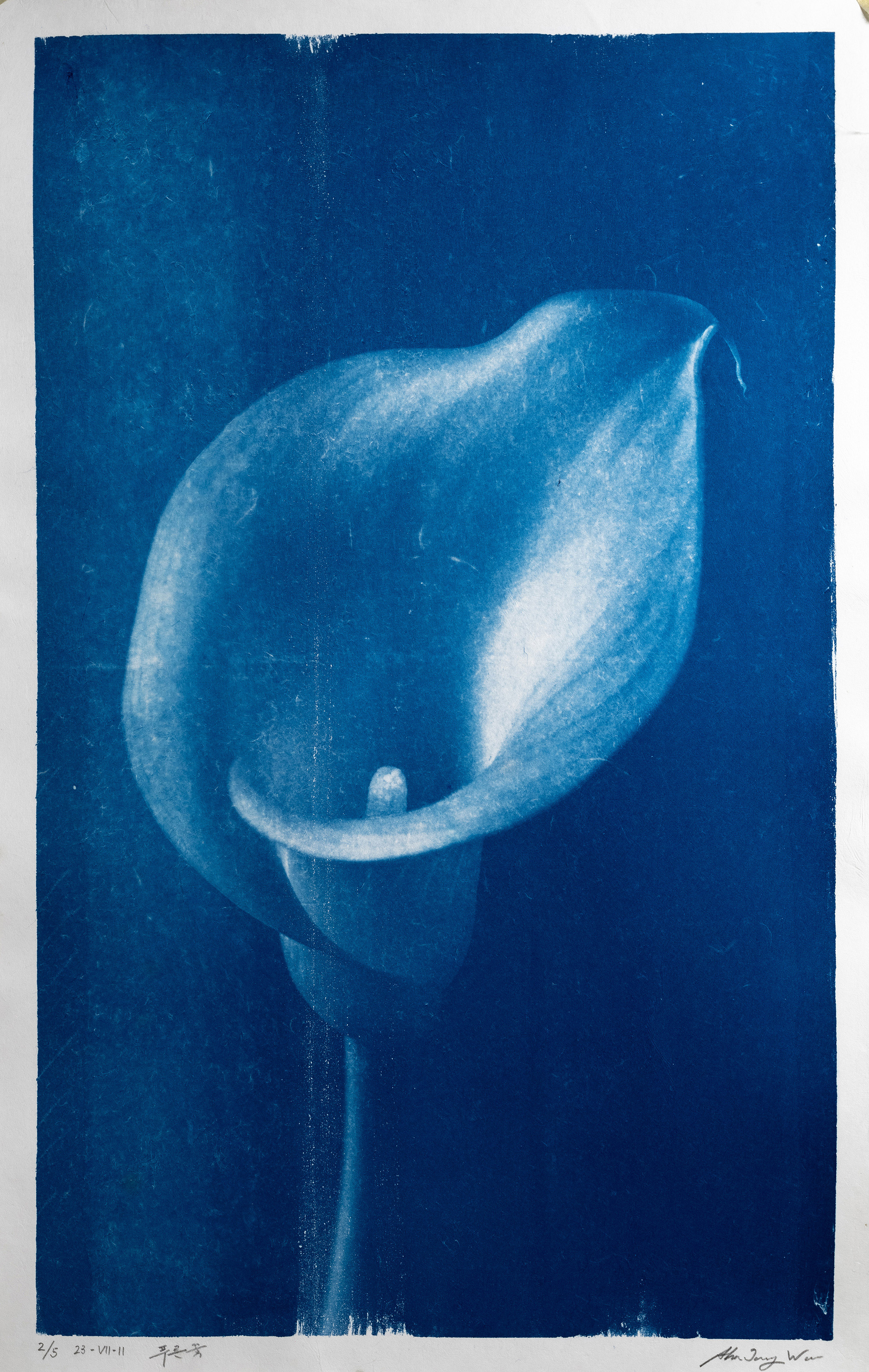 푸른꽃 Blue flower 23-VII-11 2023, 장지에 시아노타입 Cyanotype on korean paper 75 x 45cm