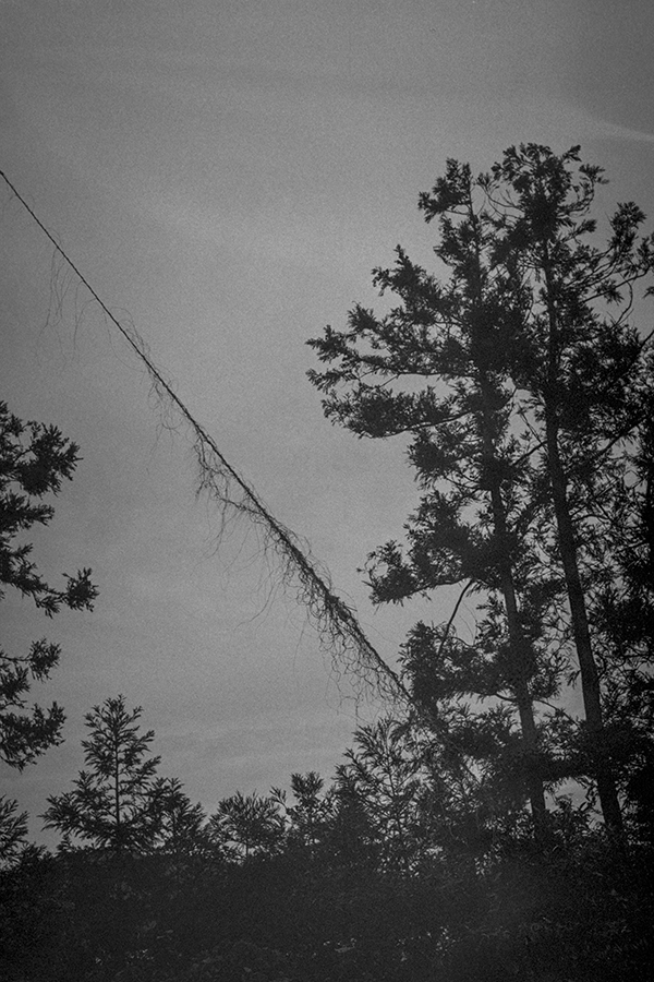 29 제주, Gelatin Silver Print, 2019, 30x20cm