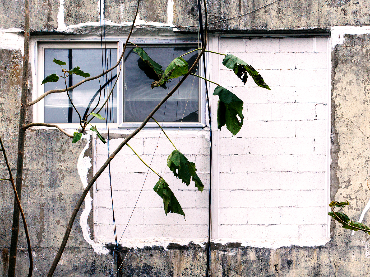 '눈앞에 있는 사물' 11, Archival Pigment Print, 2023