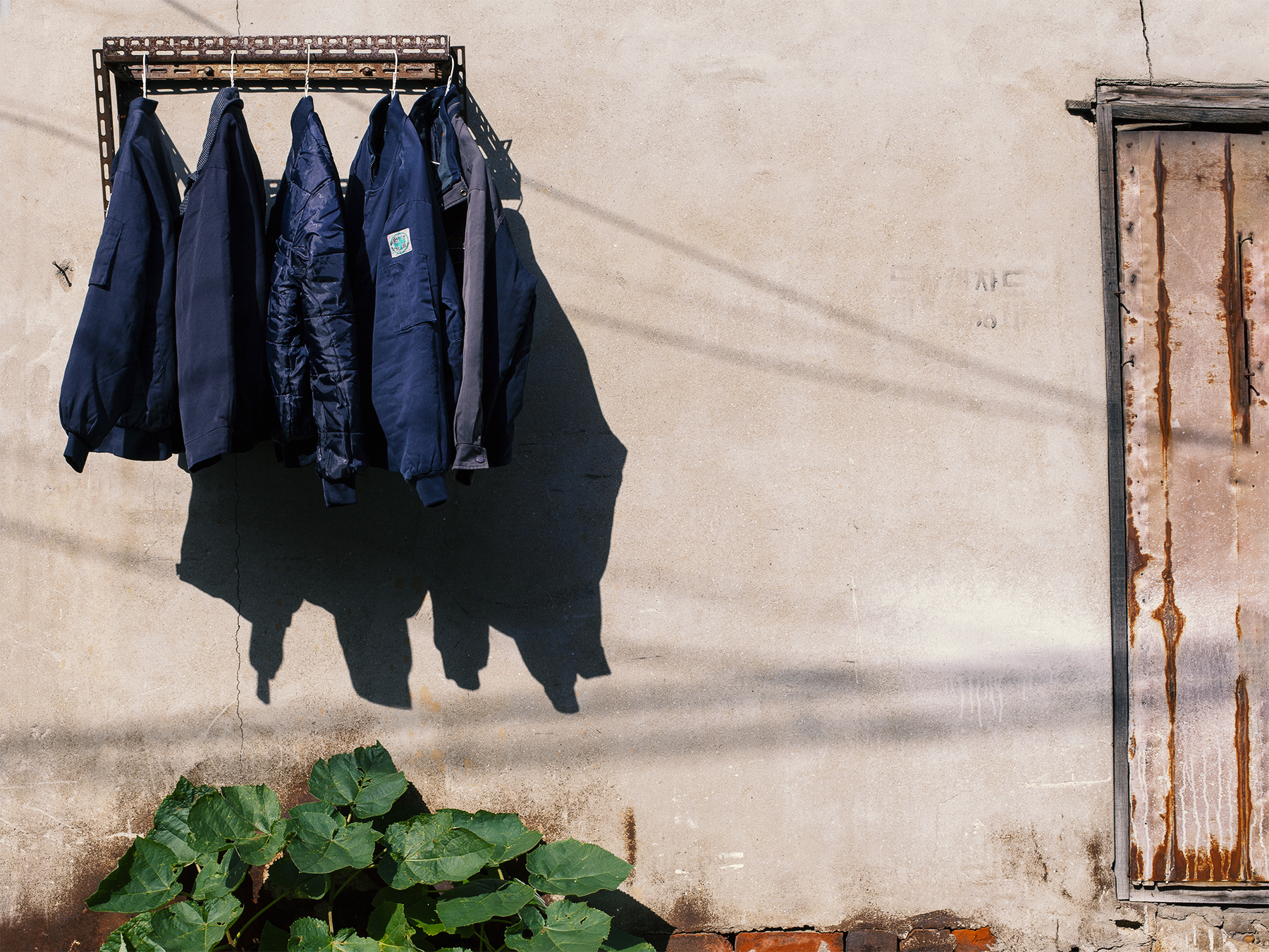 '눈앞에 있는 사물' 5, Archival Pigment Print, 2023