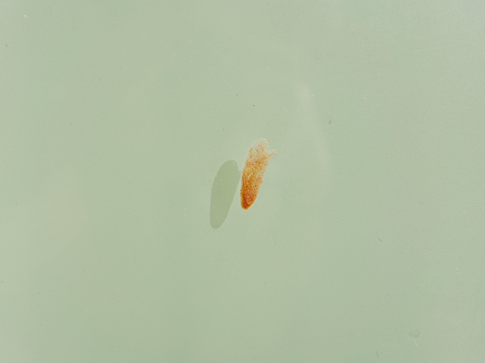 01. Himmel (Heaven), 2019