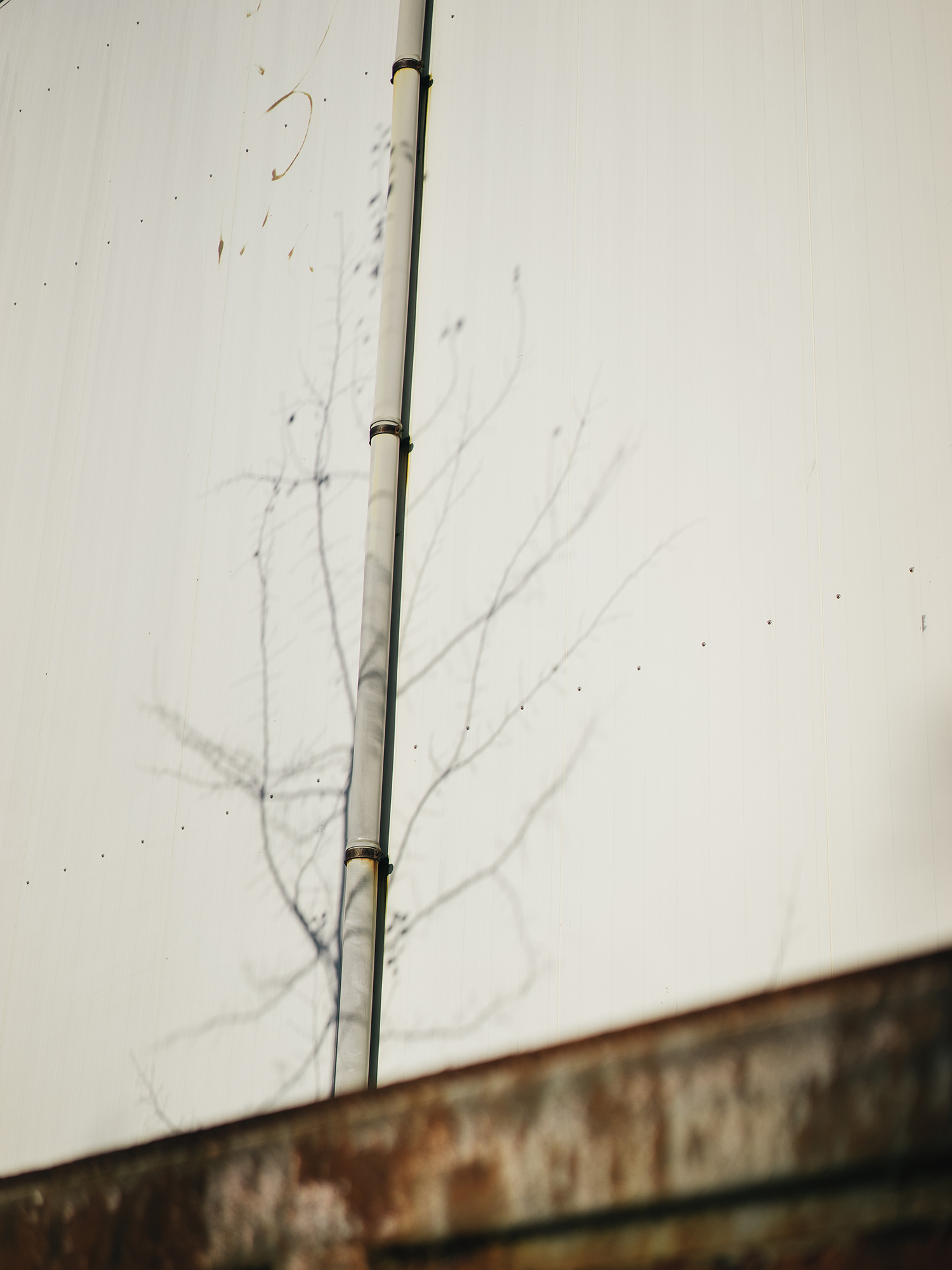 02. Growing up With the Light