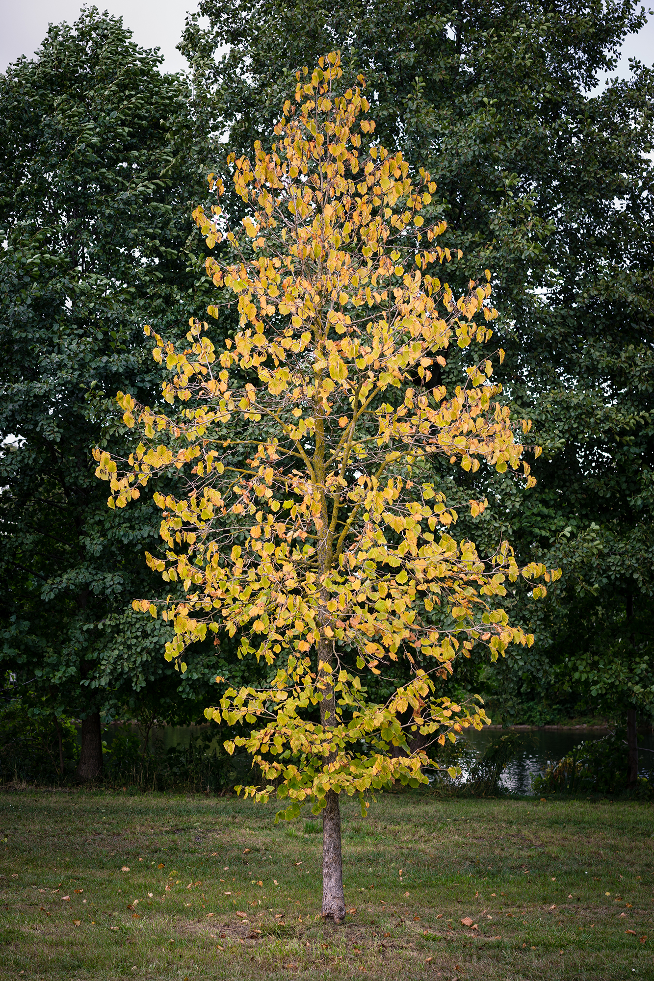 03. You’re Not So Unique