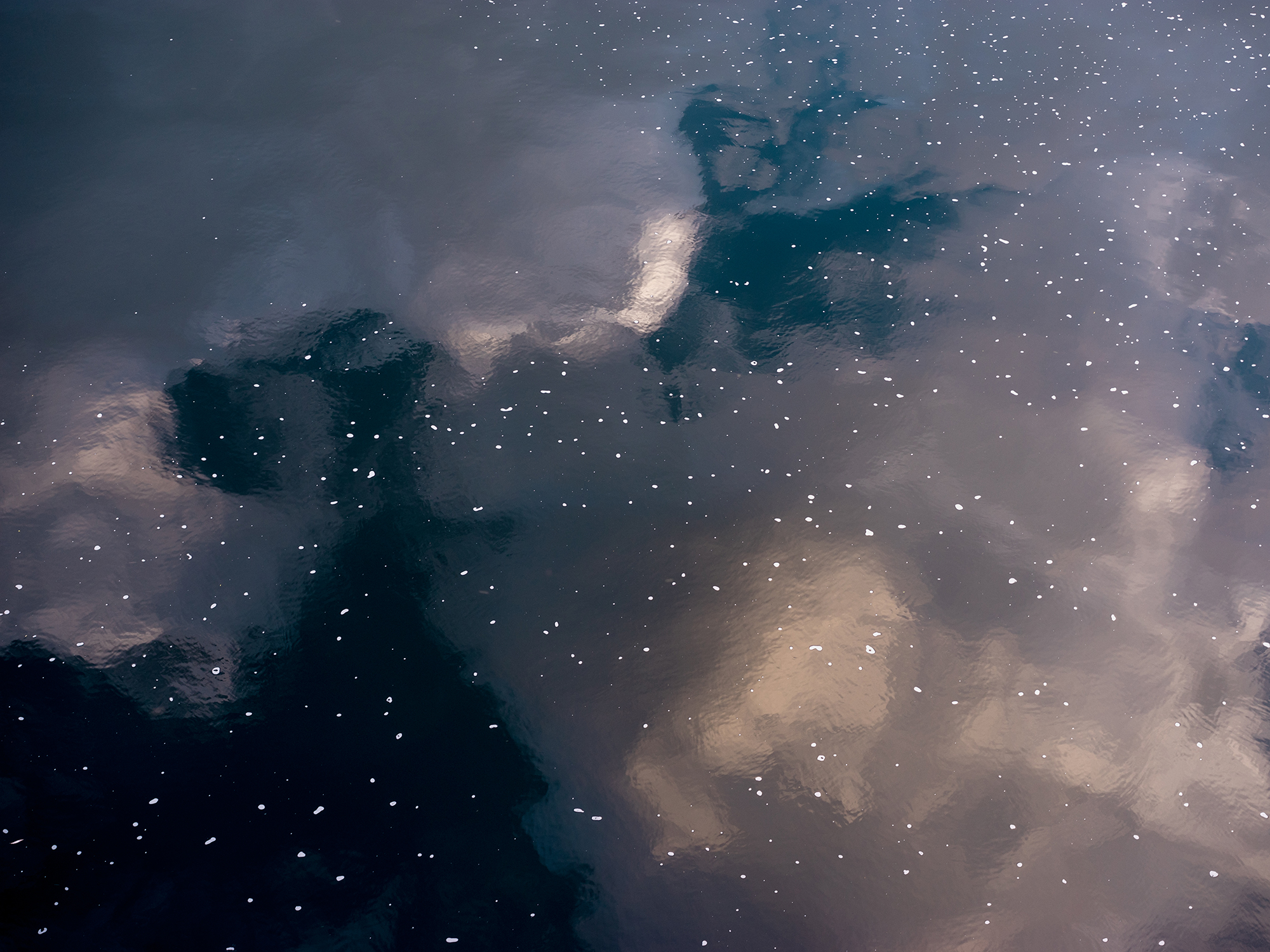 09. Like Cherry Blossoms