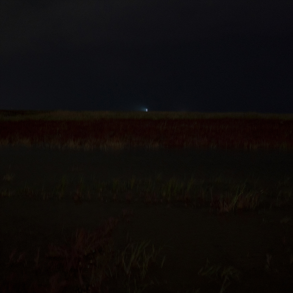 6. The Light in the Dark _8