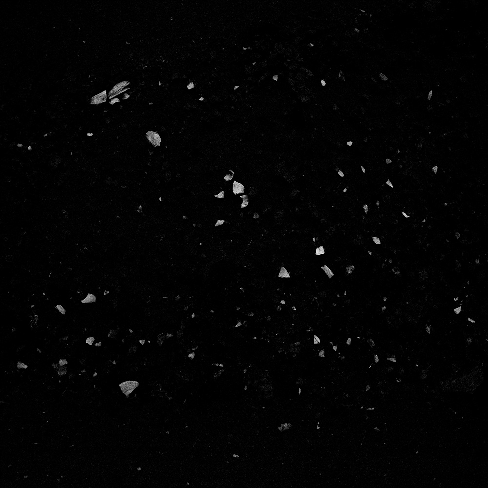 7. The Light in the Dark _10