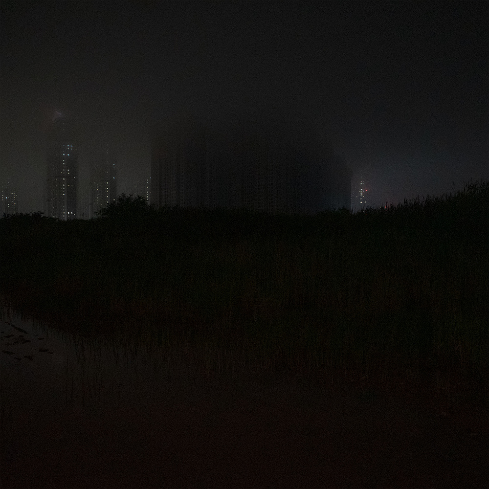 8. The Light in the Dark _2