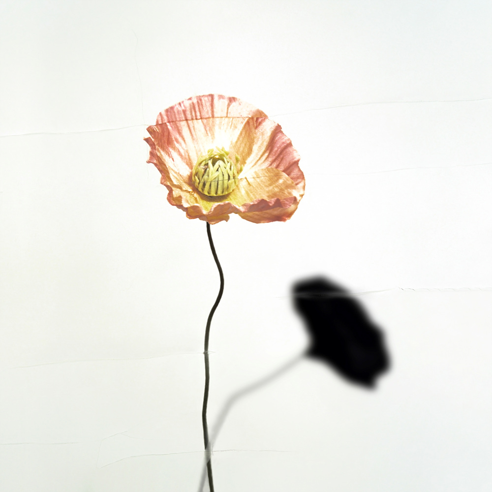 환등기로 비춘, 버려진 플라스틱 시리즈 #01