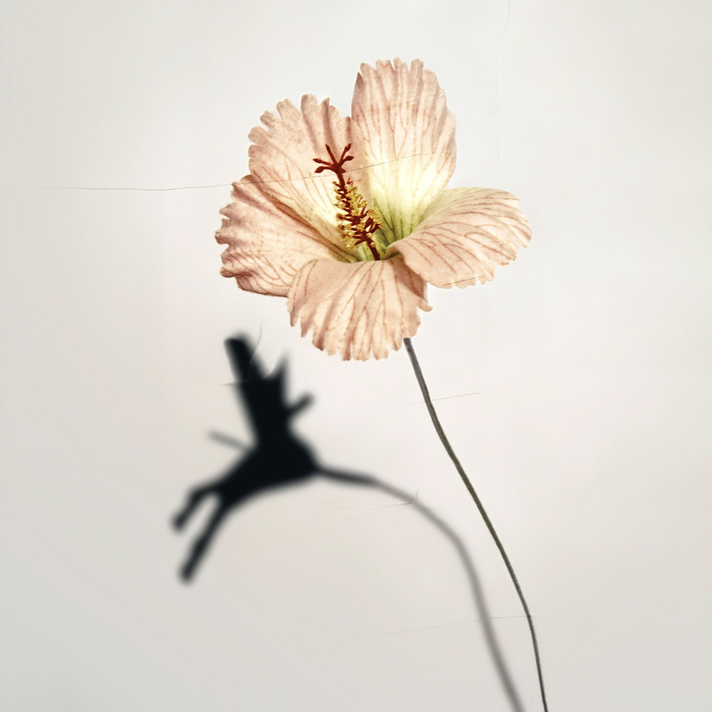 환등기로 비춘, 버려진 플라스틱 시리즈 #02