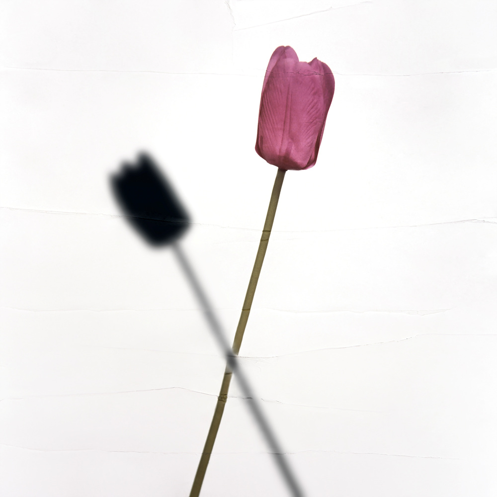 환등기로 비춘, 버려진 플라스틱 시리즈 #04