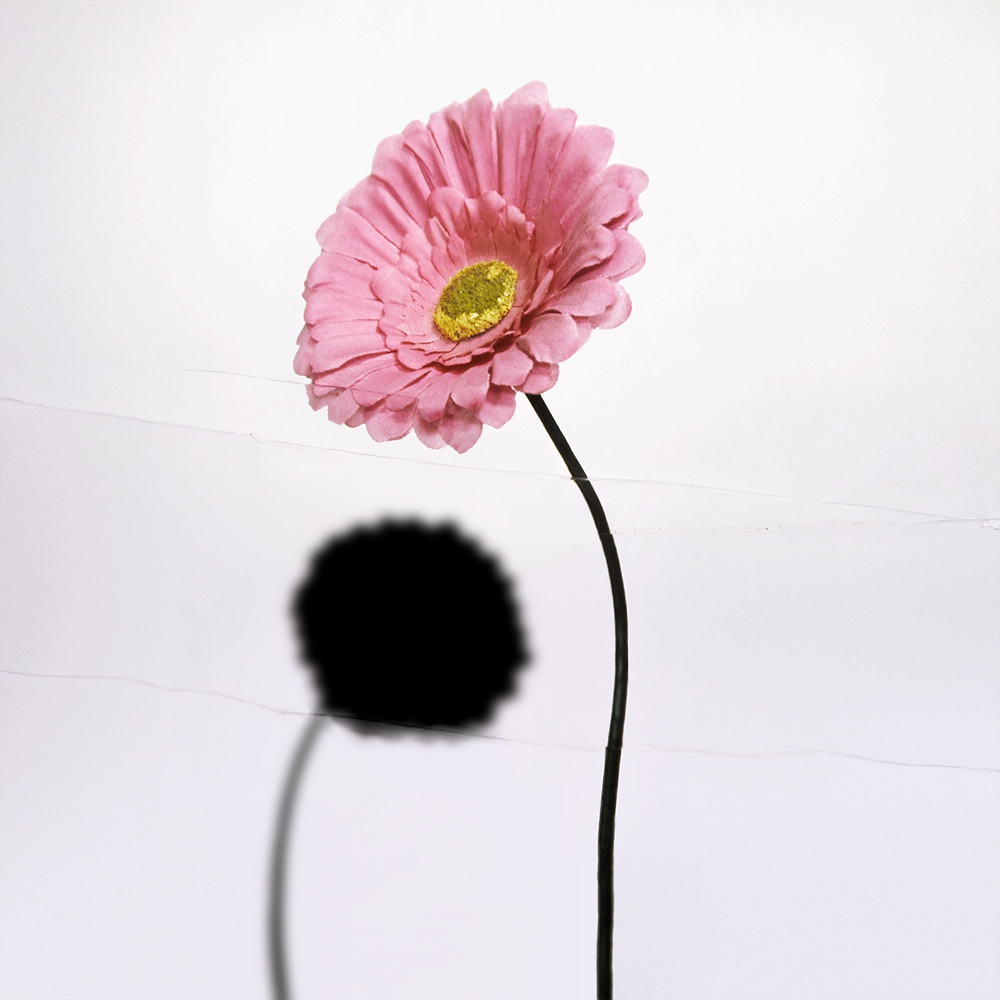 환등기로 비춘, 버려진 플라스틱 시리즈 #06