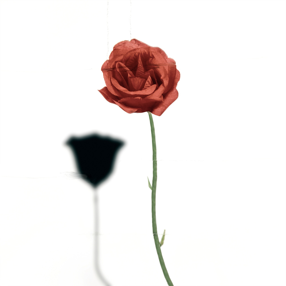 환등기로 비춘, 버려진 플라스틱 시리즈 #08