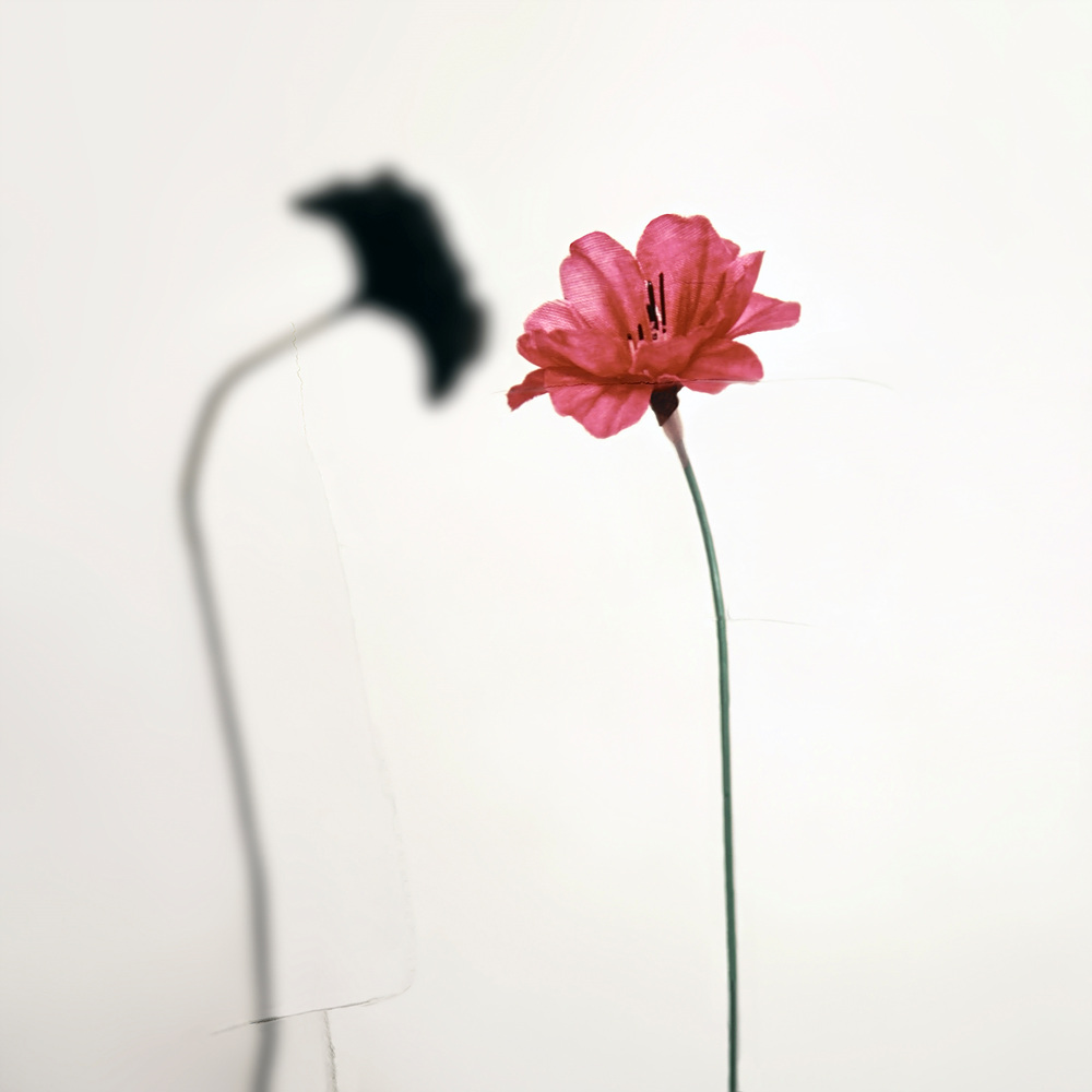 환등기로 비춘, 버려진 플라스틱 시리즈 #09