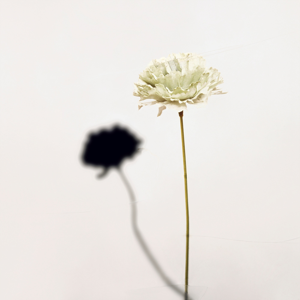 환등기로 비춘, 버려진 플라스틱 시리즈 #13