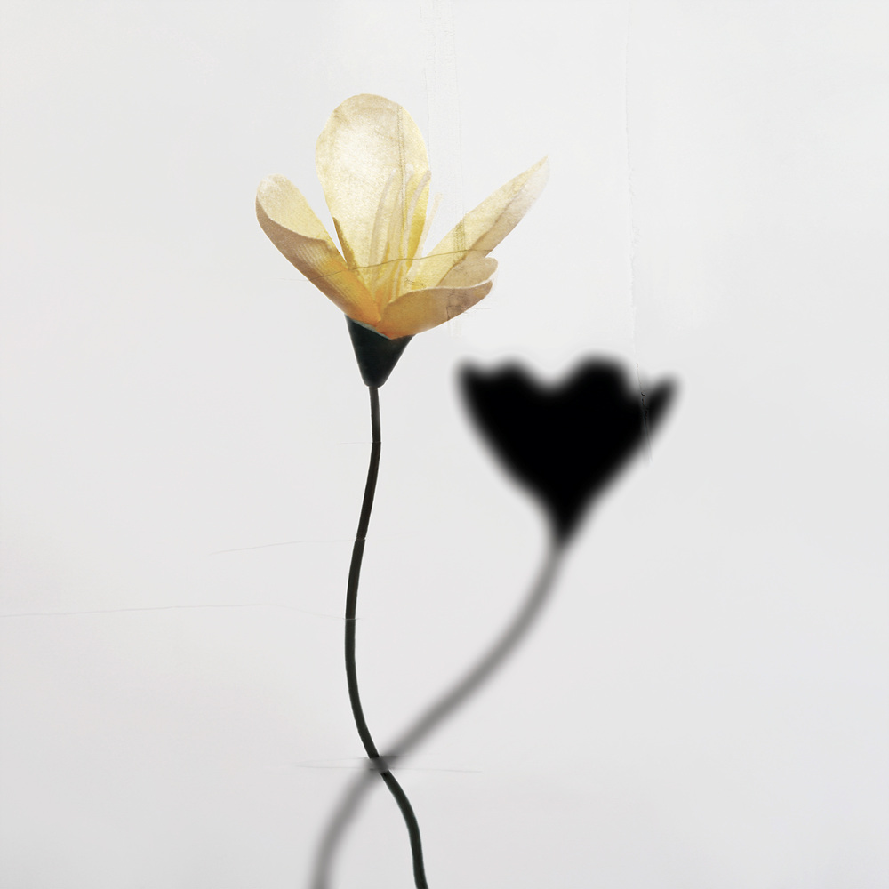 환등기로 비춘, 버려진 플라스틱 시리즈 #16