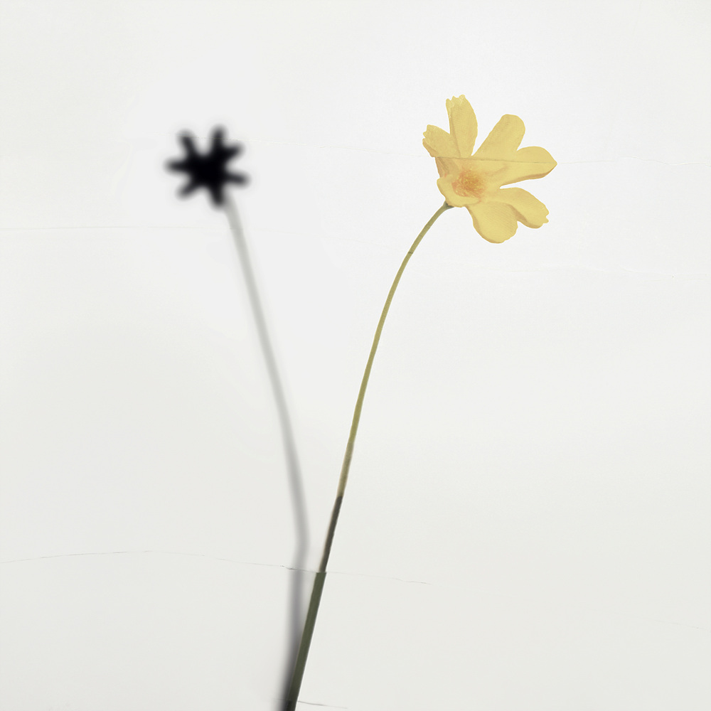 환등기로 비춘, 버려진 플라스틱 시리즈 #17