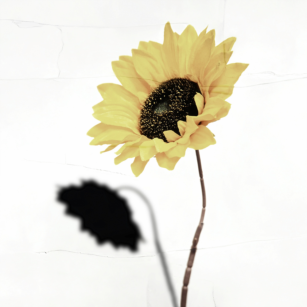 환등기로 비춘, 버려진 플라스틱 시리즈 #19