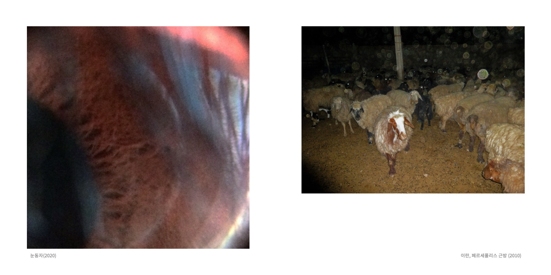 Somewhere Into The Rainbow 5