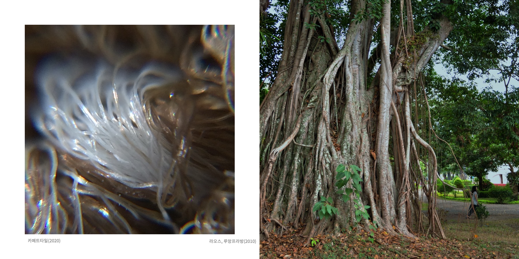 Somewhere Into The Rainbow 8