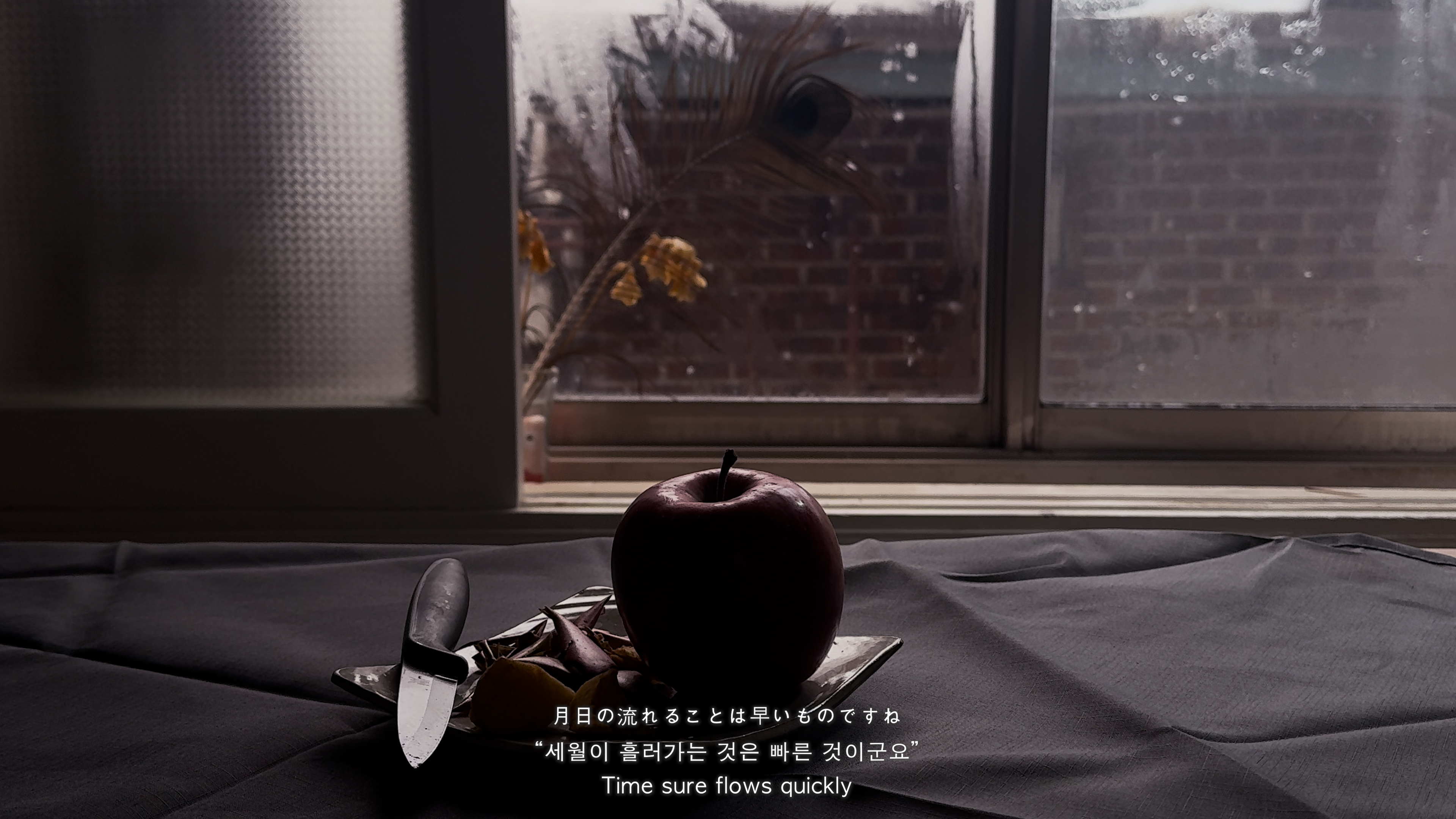 내일 건네줄 사과, 2024, 비디오, 단채널 비디오, 컬러, 사운드, 20분, 스틸 컷.(4)