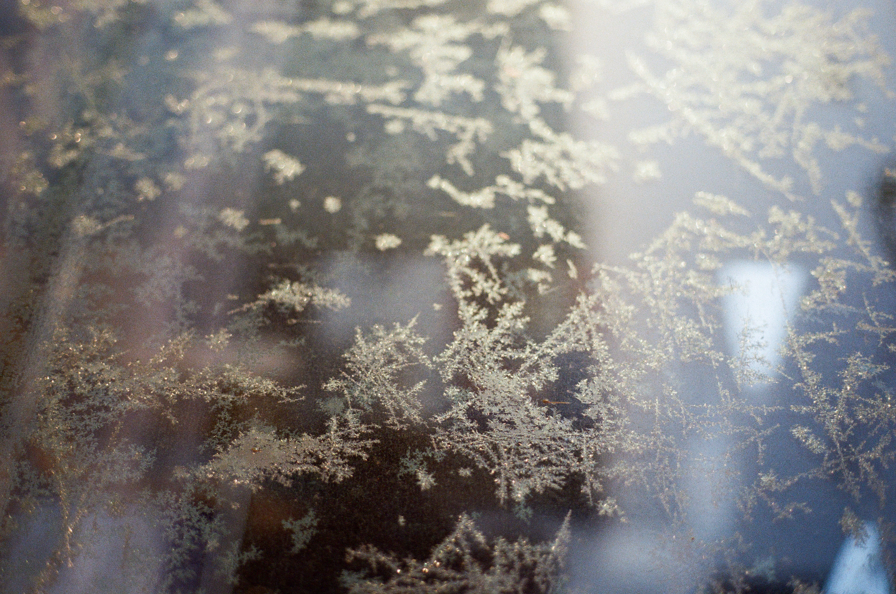 빨간 꽃 노란 꽃 꽃밭 가득 피어도
